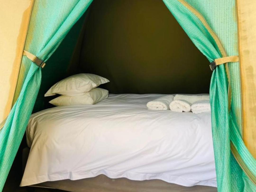 Brandberg White Lady Lodge Uis 외부 사진