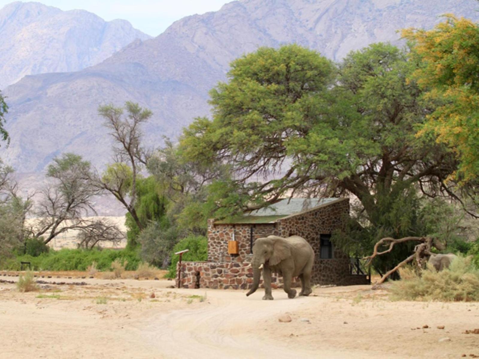 Brandberg White Lady Lodge Uis 외부 사진