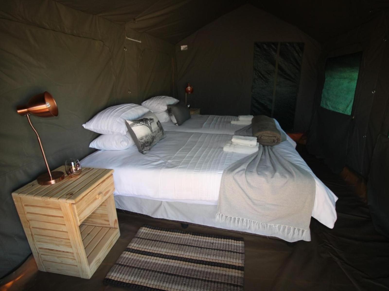 Brandberg White Lady Lodge Uis 외부 사진