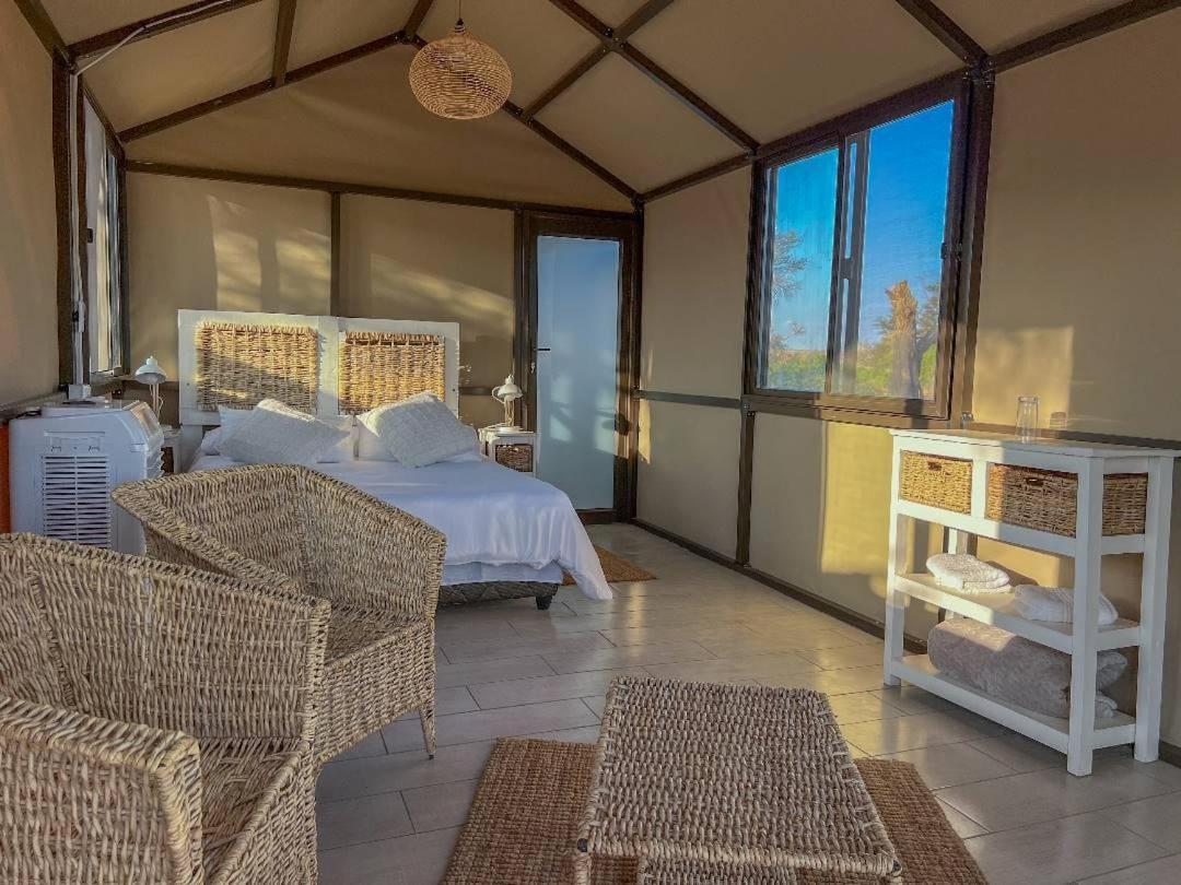 Brandberg White Lady Lodge Uis 외부 사진