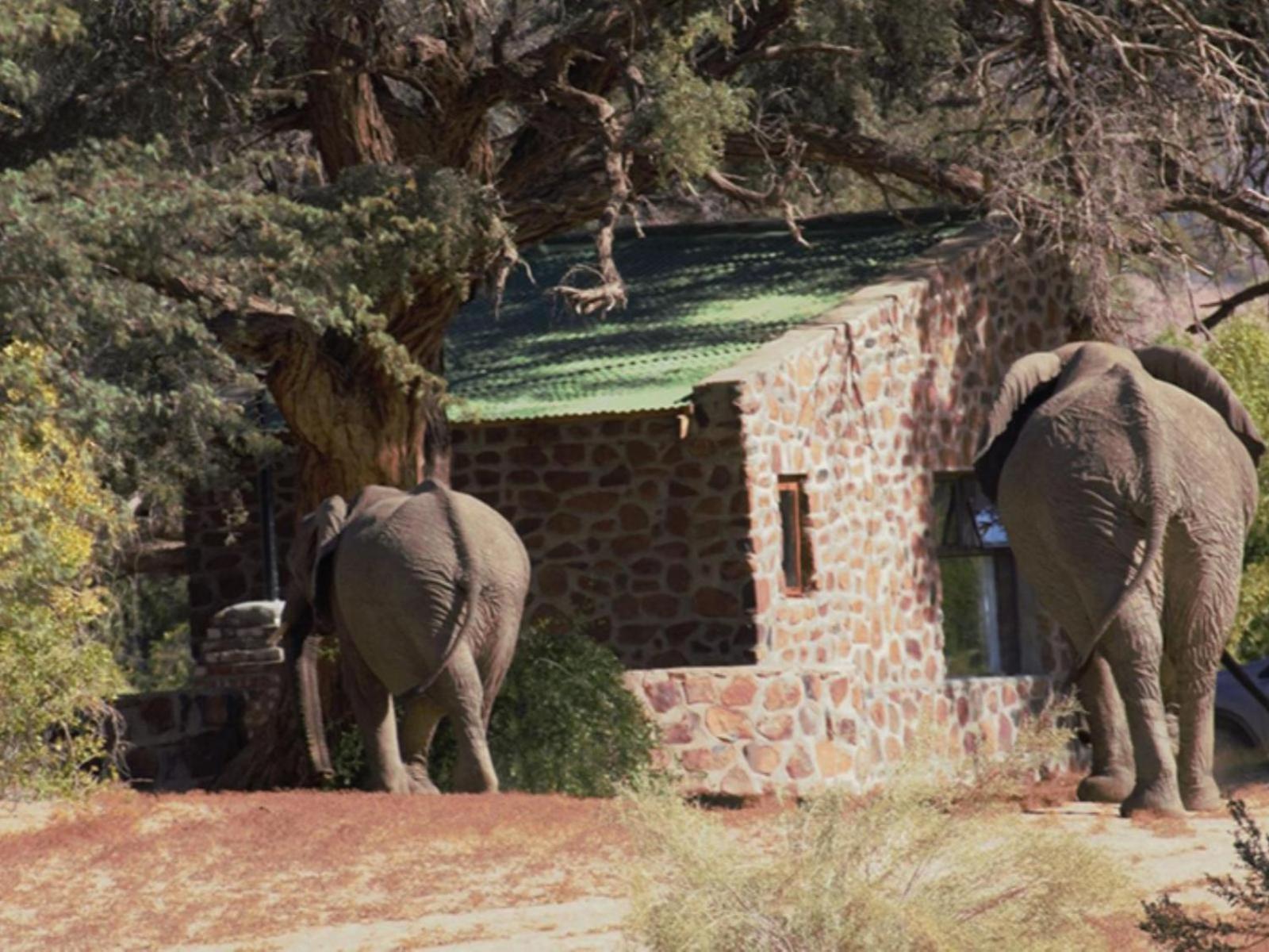 Brandberg White Lady Lodge Uis 외부 사진