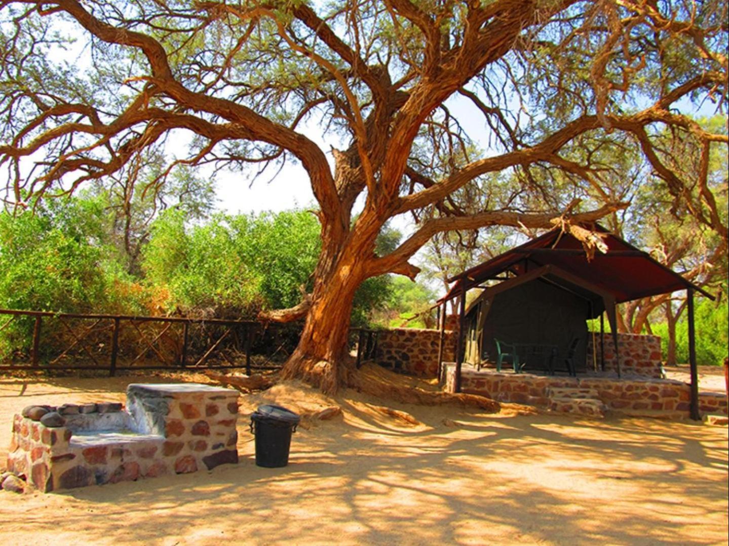 Brandberg White Lady Lodge Uis 외부 사진
