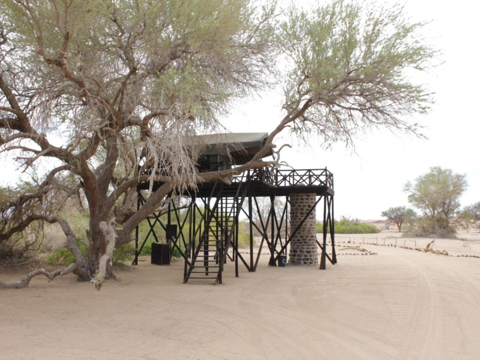 Brandberg White Lady Lodge Uis 외부 사진